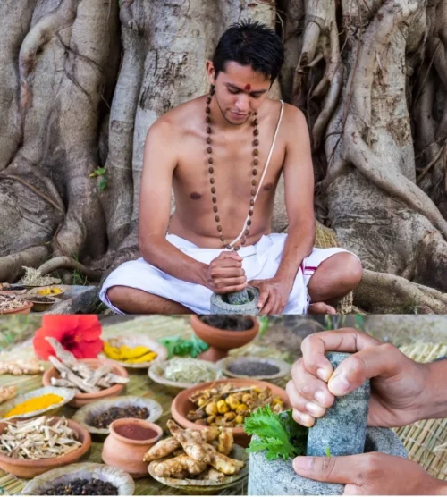 Ayurvedic day Ayurvedic day