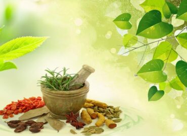 ayurveda ayurveda